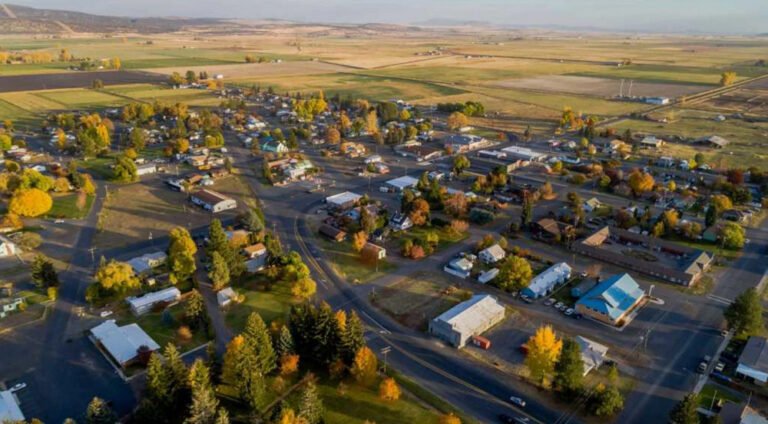 Affordable SEO and Web Design in Malin