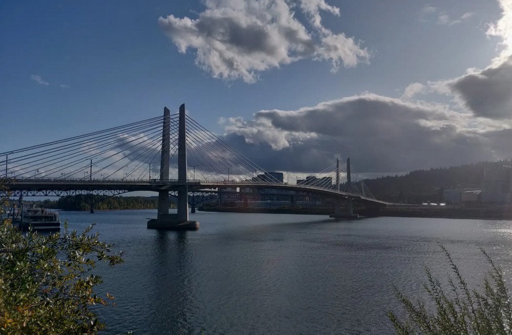 Affordable SEO and Web Design in Maywood Park