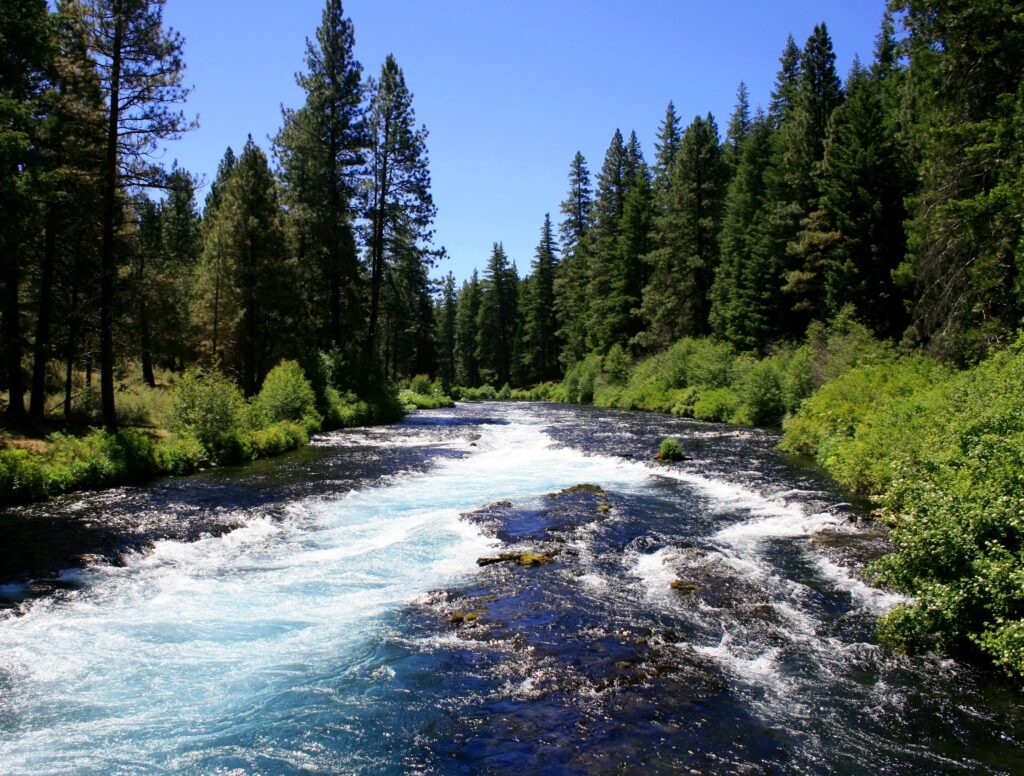 SEO and Web Design in Metolius