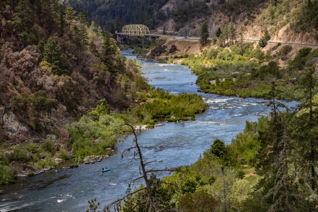 SEO and Web Design in Rogue River